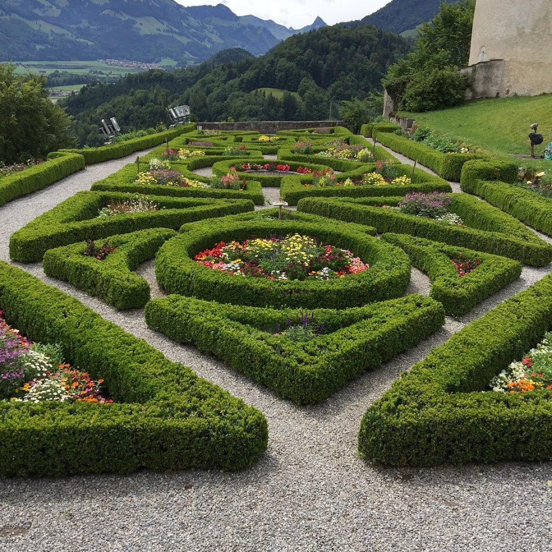 garden, topiary, hedge, outdoor, gardening, landscape, botanical, shrub, flowers, nature, maze, botany, landscaping, castle, topiary, beautiful flowers, maze, flower background, flower wallpaper, maze, maze, maze, maze